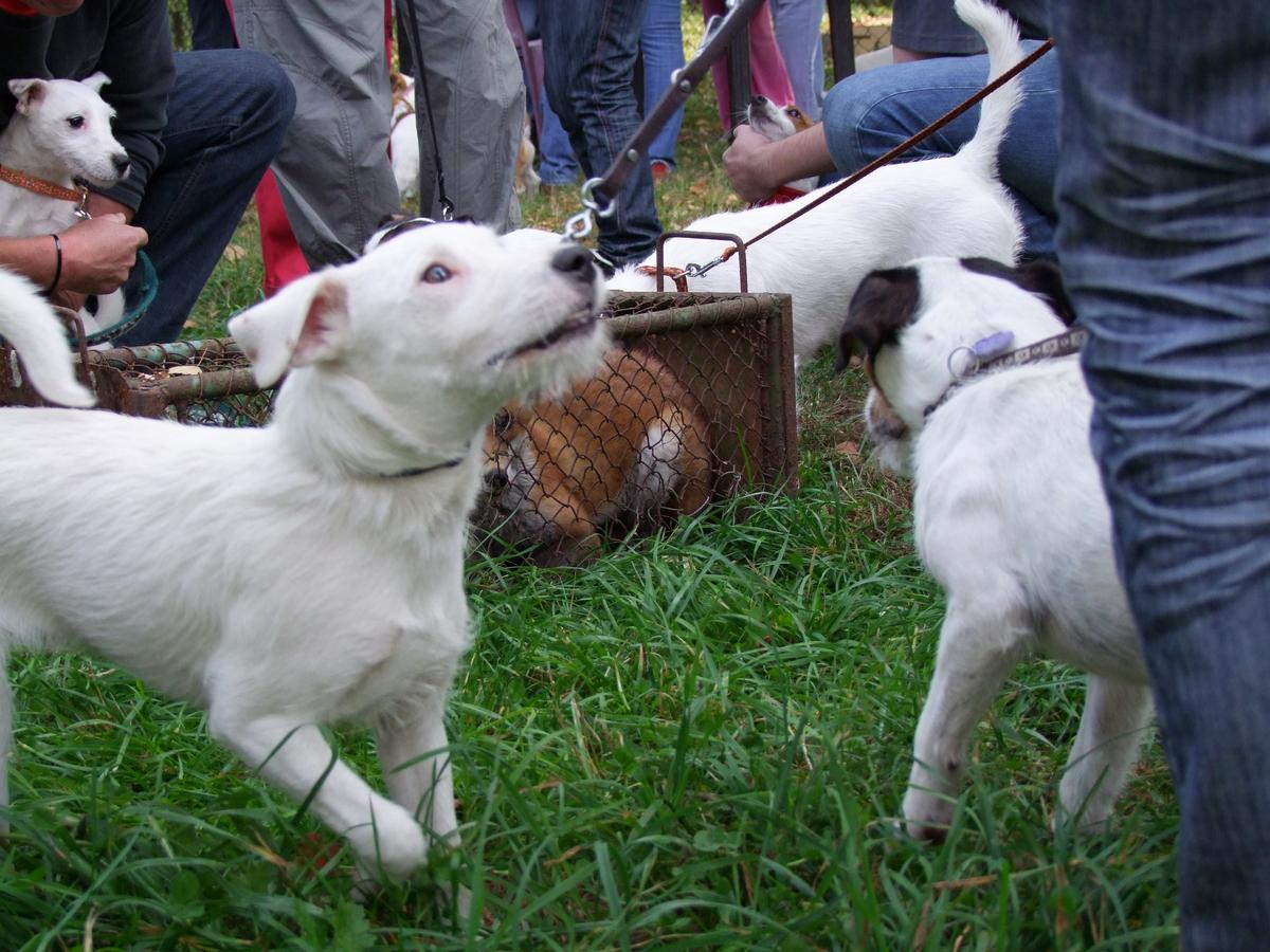 DSCF1083.jpg